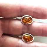 oval cognac amber earrings
