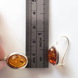 classic amber earrings